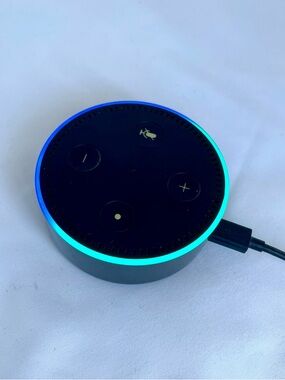 Amazon Echo Dot (2nd Generation) Smart Speaker Cord & Plug Black Works!